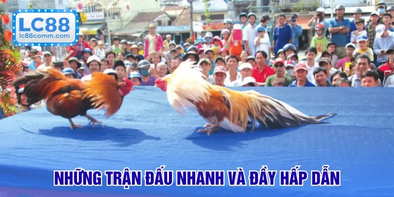 Những trận đấu nhanh và đầy hấp dẫn